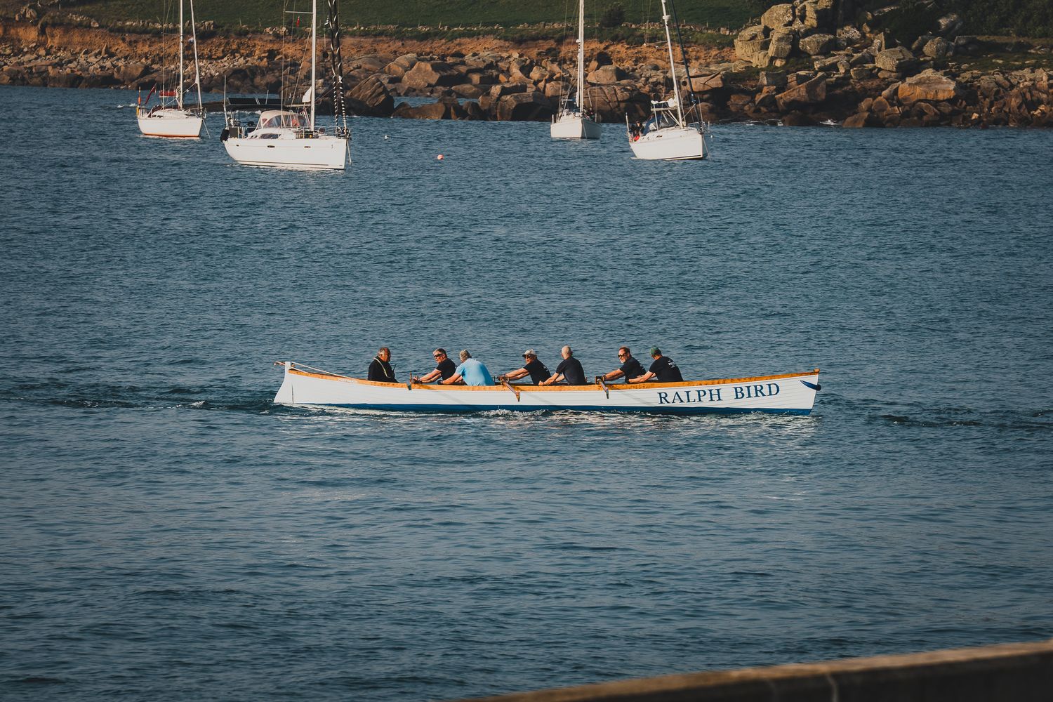 Rowers racing in a traditional Cornish pilot gig boat named Ralph Bird on calm blue coastal waters.
