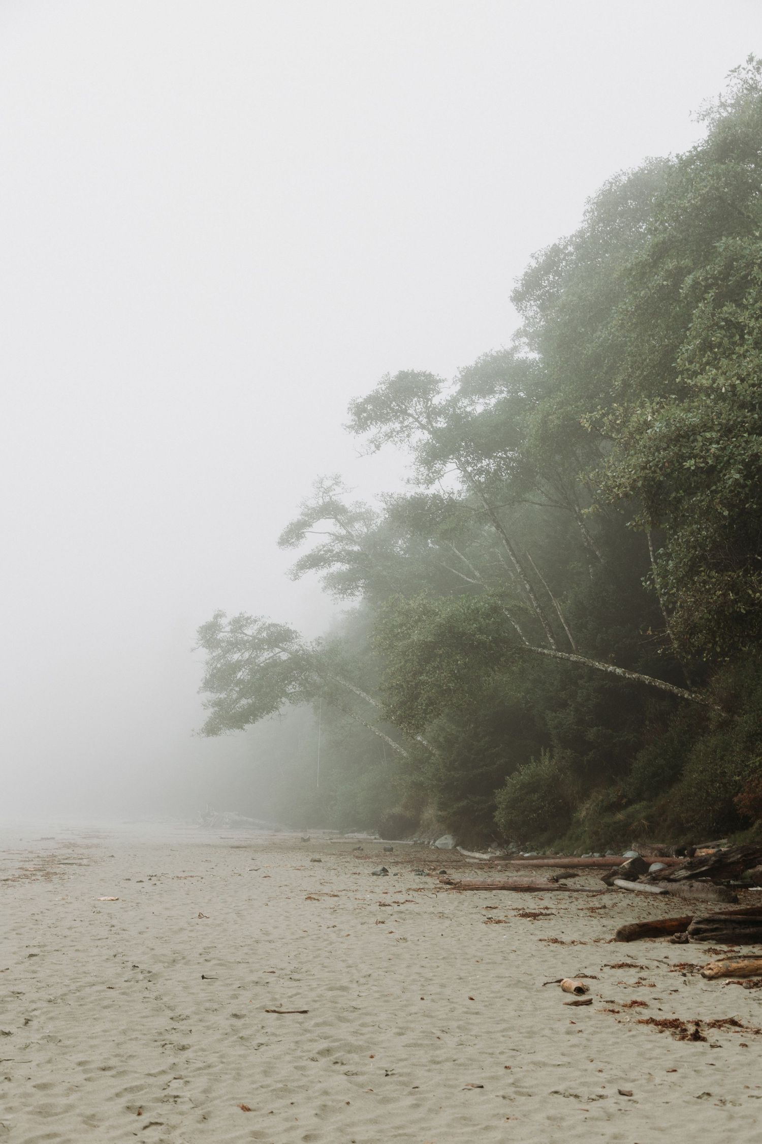 Vancouver island elopement photographer