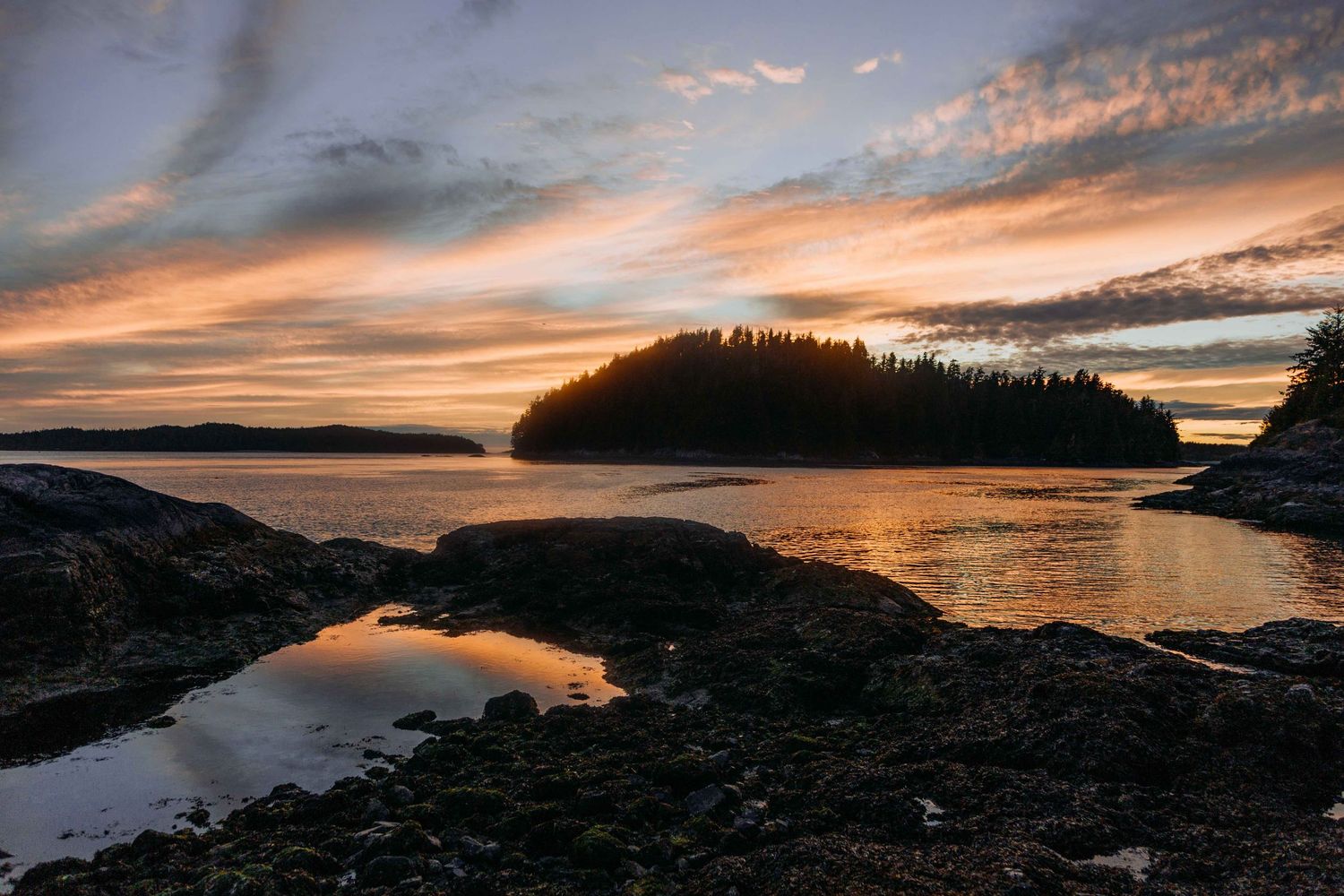 Vancouver Island Tofino Elopement Photographer Scavenger Hunt