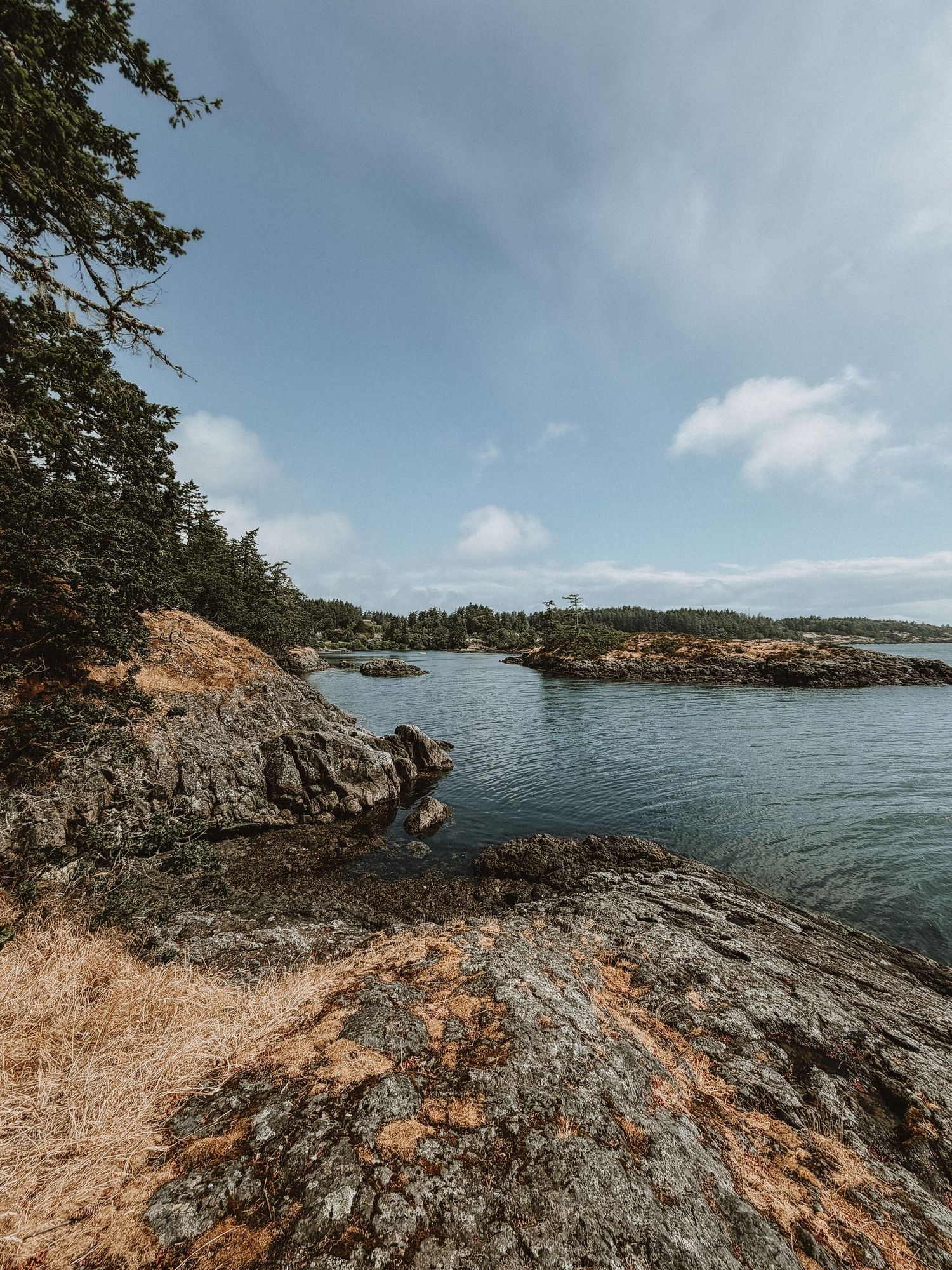 metchosin Vancouver Island elopement photographer