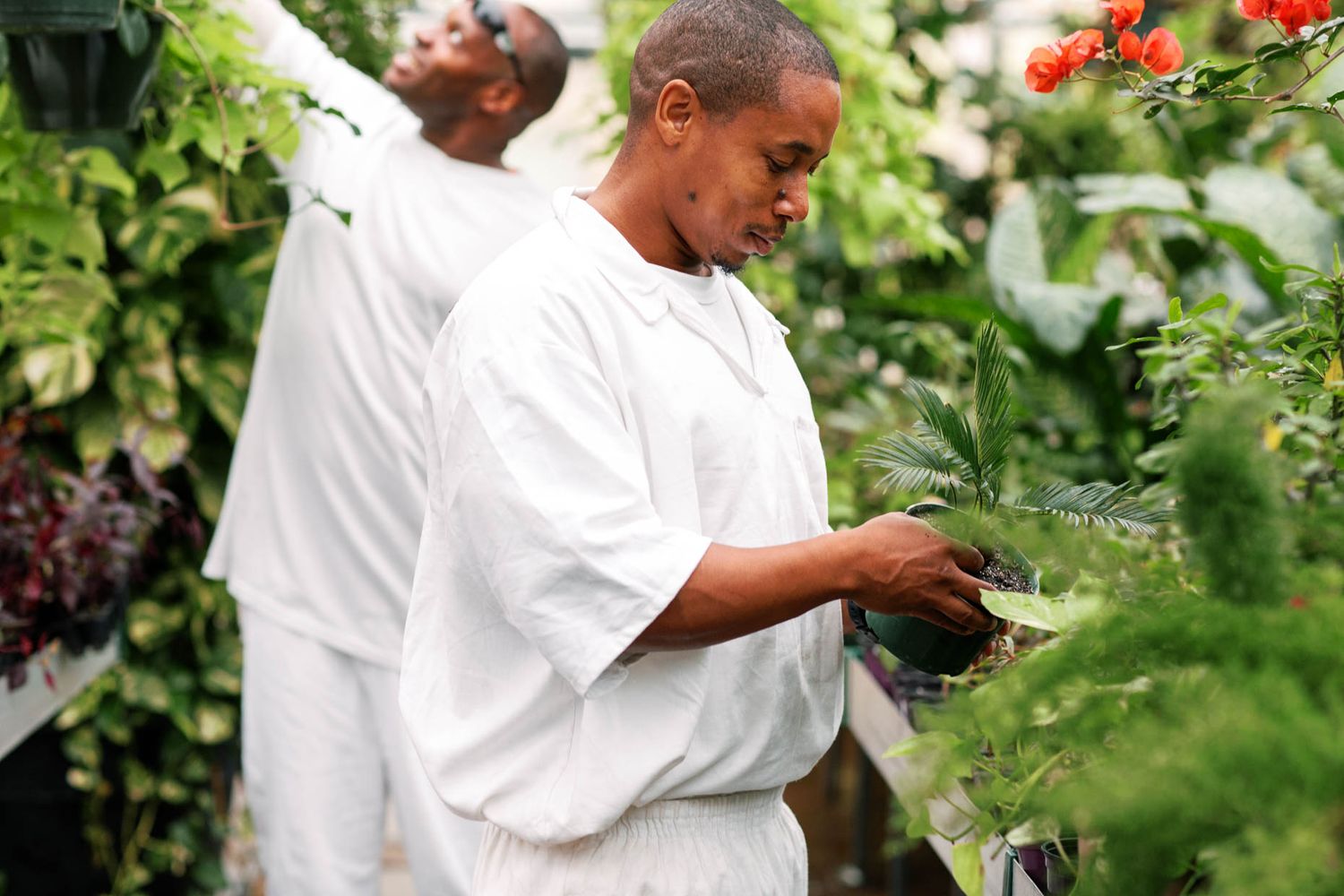 Two workers in white uniforms tending to lush green plants in a vibrant greenhouse garden setting.