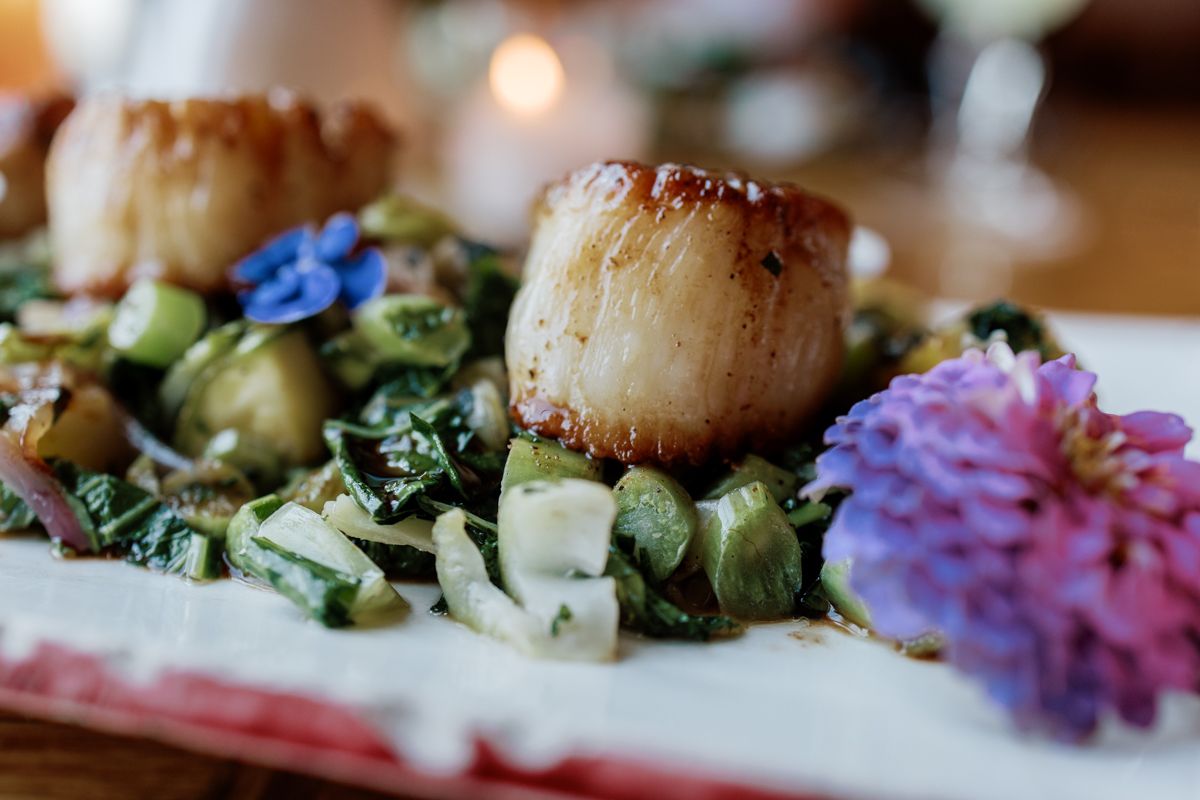 Seared scallops served on a bed of fresh greens garnished with edible flowers on a white plate.