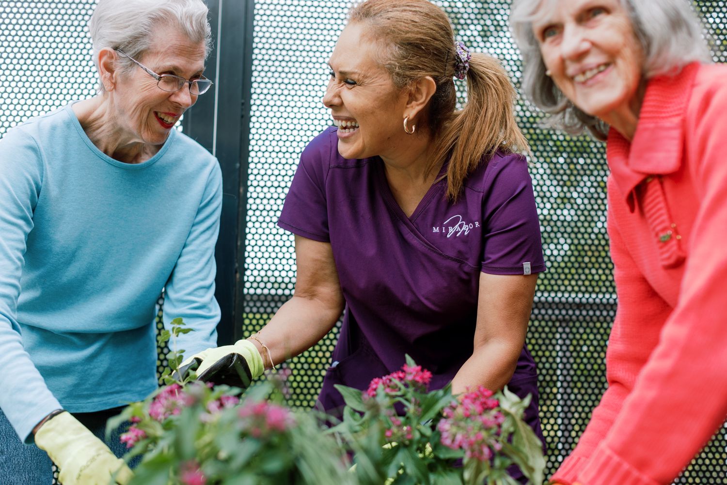 Three women smile while gardening together, tending to purple flowering plants in a sunny outdoor setting.