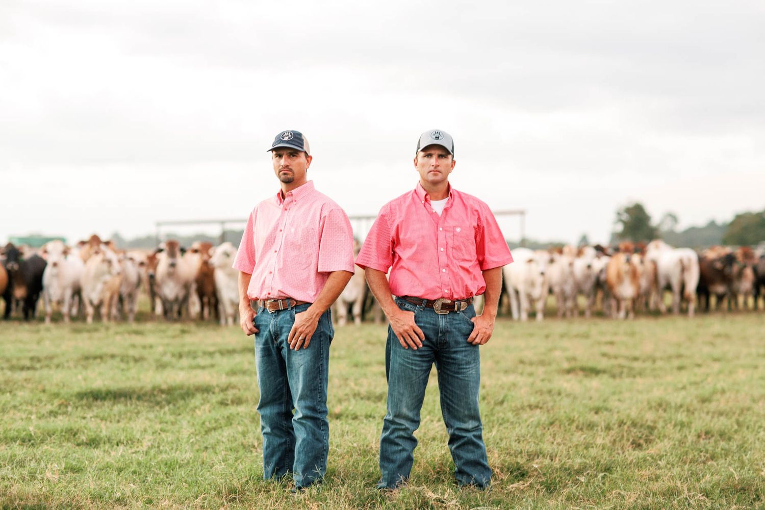 Two men in matching pink shirts and caps stand confidently in a green pasture with a herd of cattle behind them.