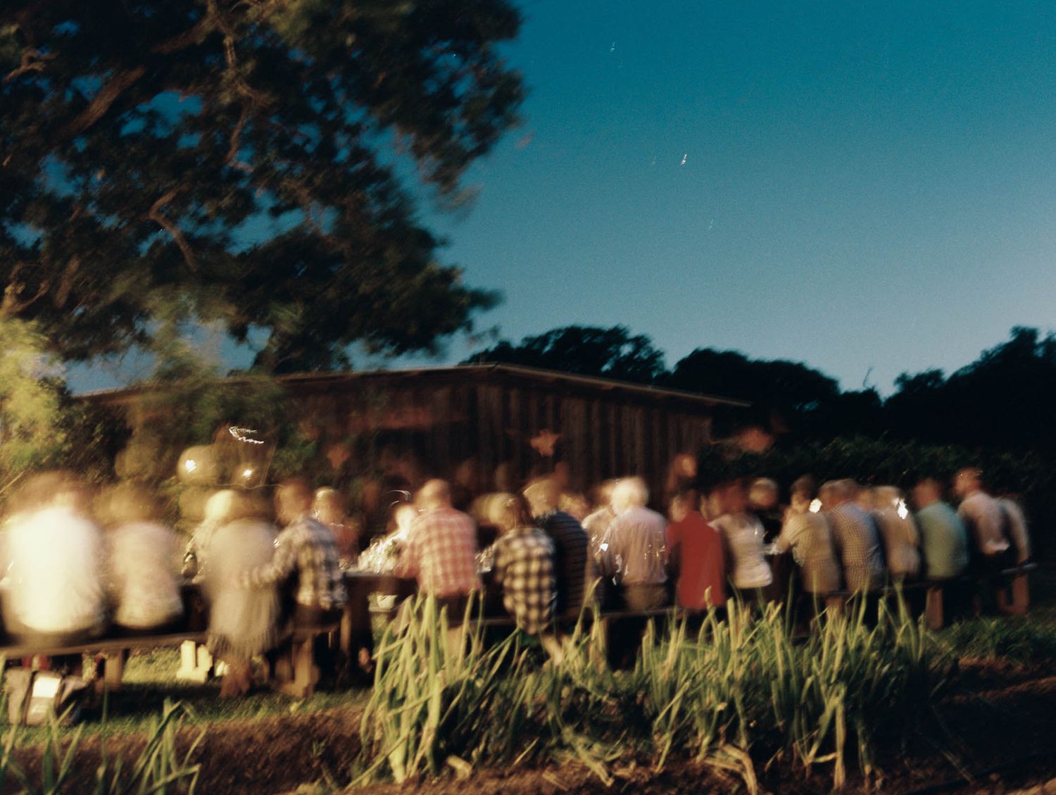 Crowd gathering outdoors at dusk near a rustic wooden barn surrounded by greenery.