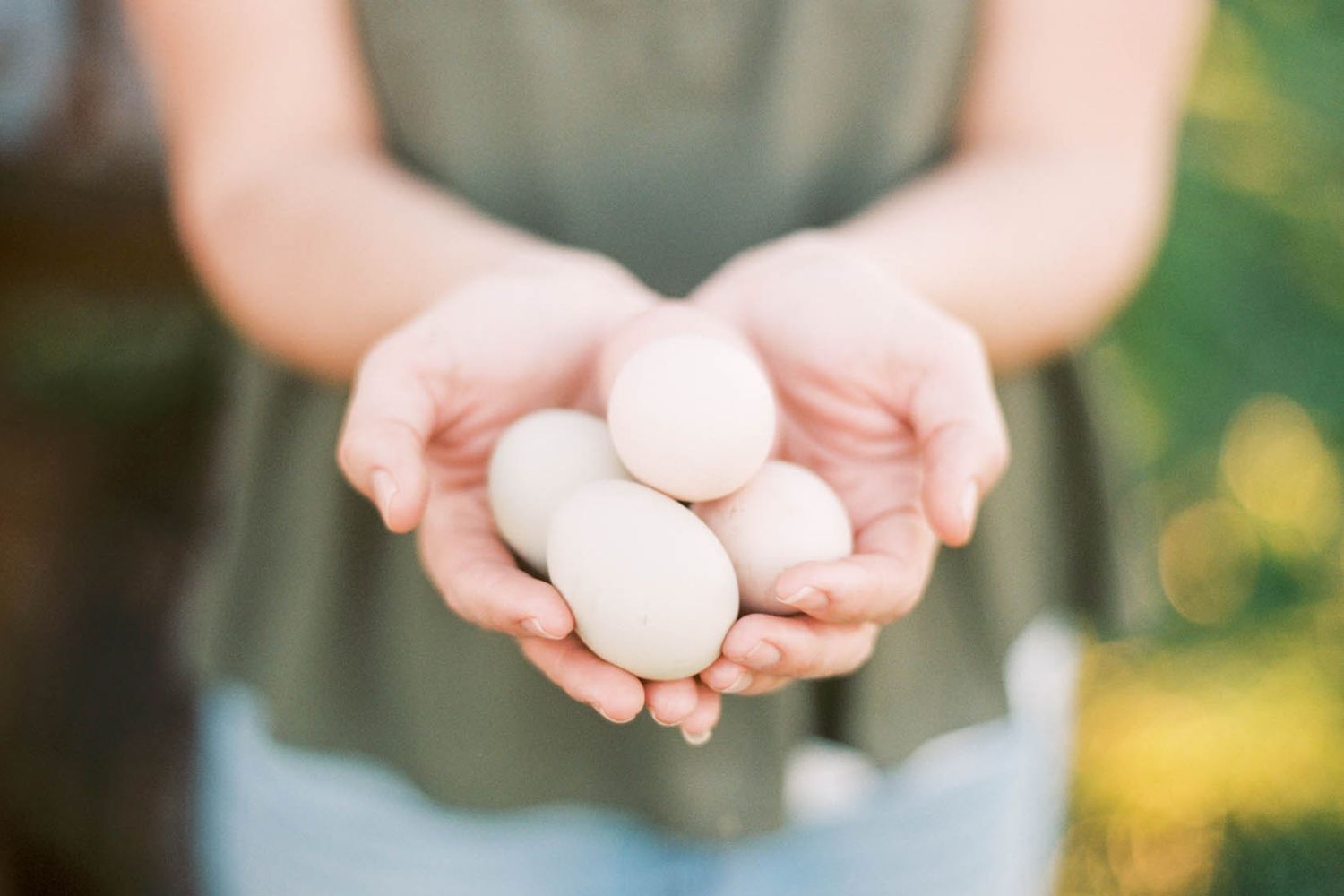 Close-up of hands gently cupping fresh farm eggs in an outdoor garden setting.