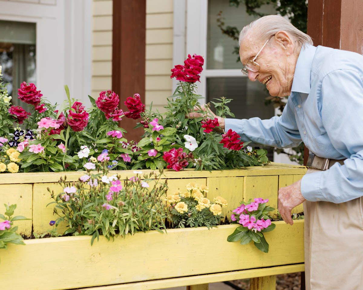 Elderly man smiling while tending to colorful flowers in a yellow raised garden planter box.