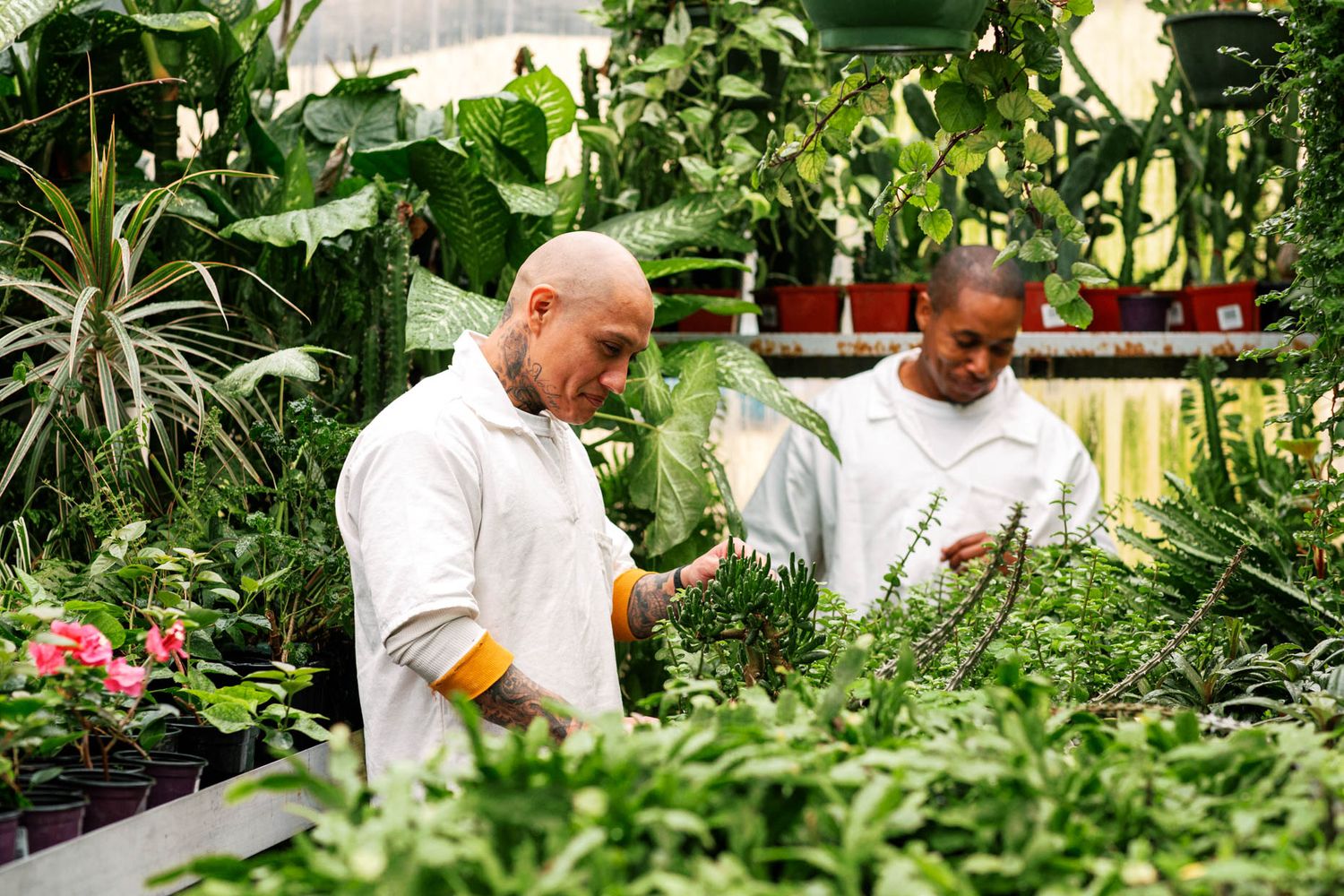 Two botanists in white lab coats examining green plants in a lush greenhouse filled with tropical foliage.
