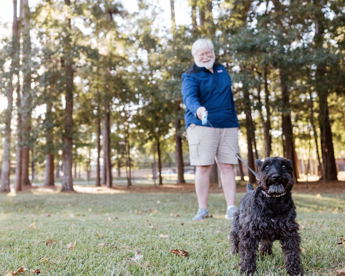 Senior man walking his black curly-haired dog on a leash in a pine tree park.