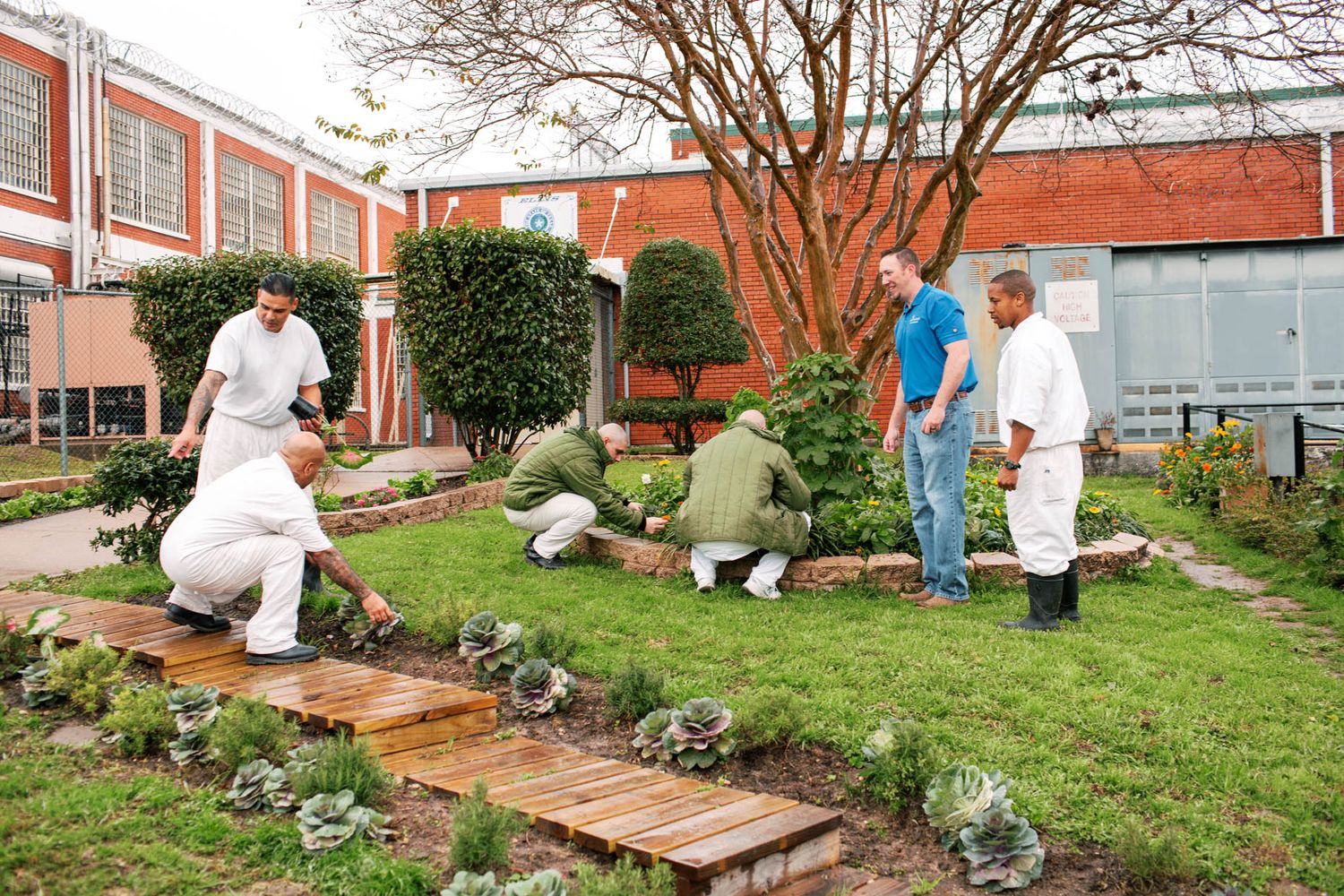 People tending a garden with wooden walkways outside a brick building.