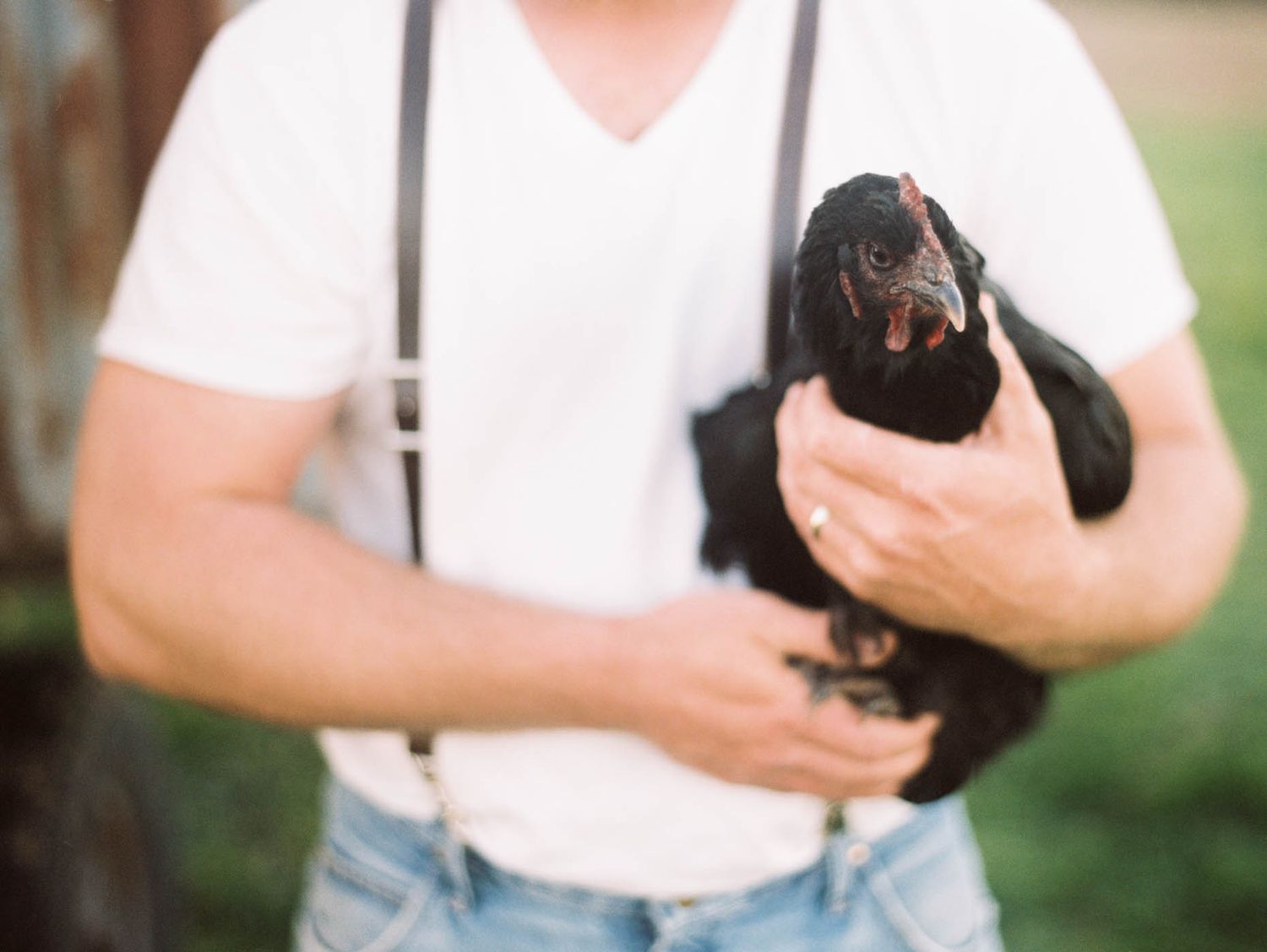 Man in white shirt and suspenders holding a black chicken on a farm.