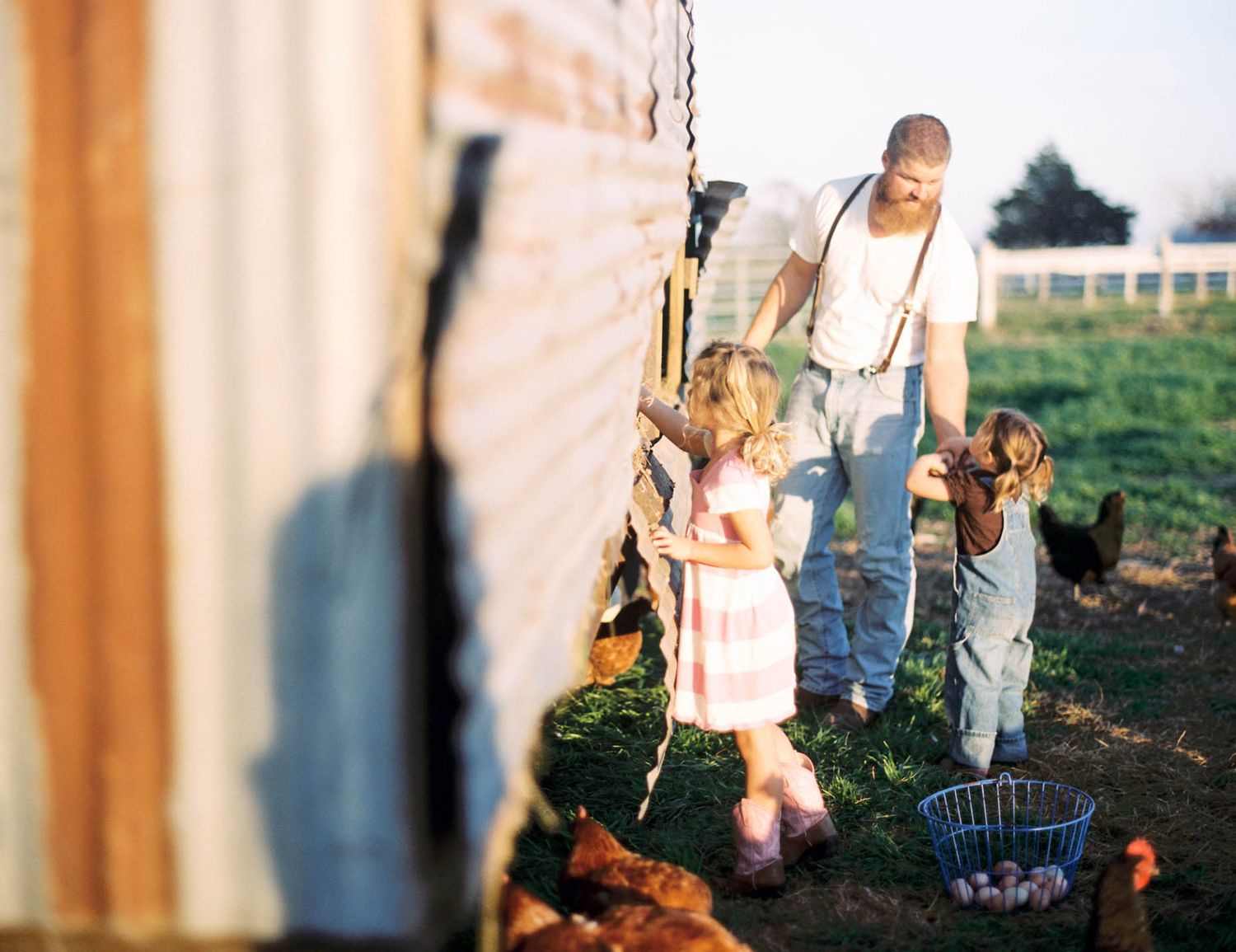Farmer with two young children collecting eggs near a chicken coop on a sunny farm.