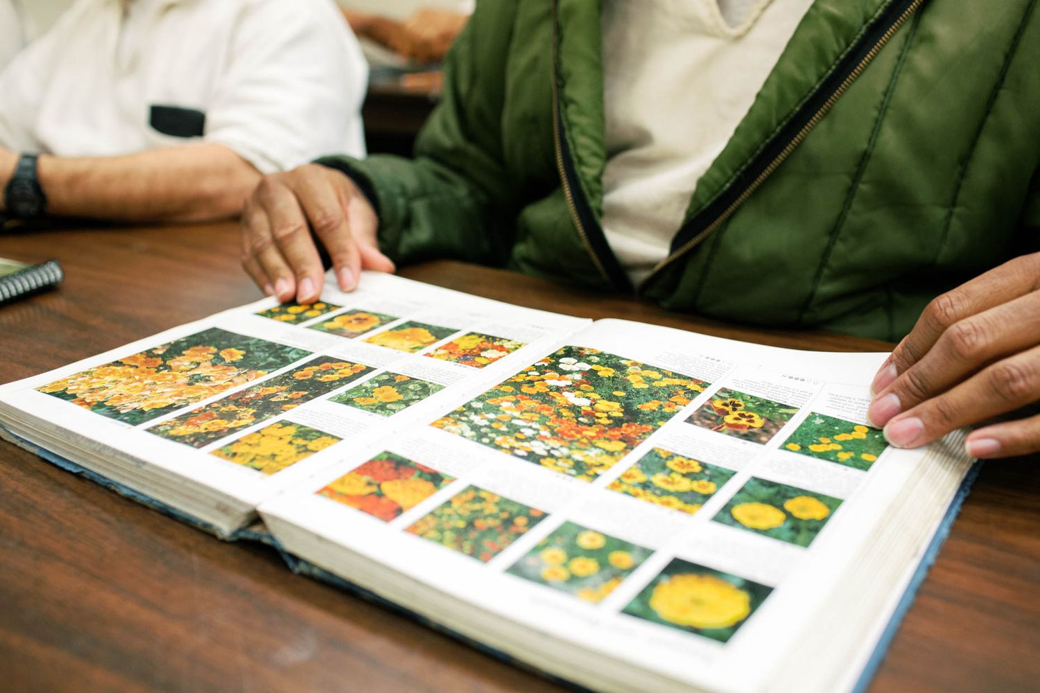 Two people examining an open book featuring colorful flower photographs on a wooden table.