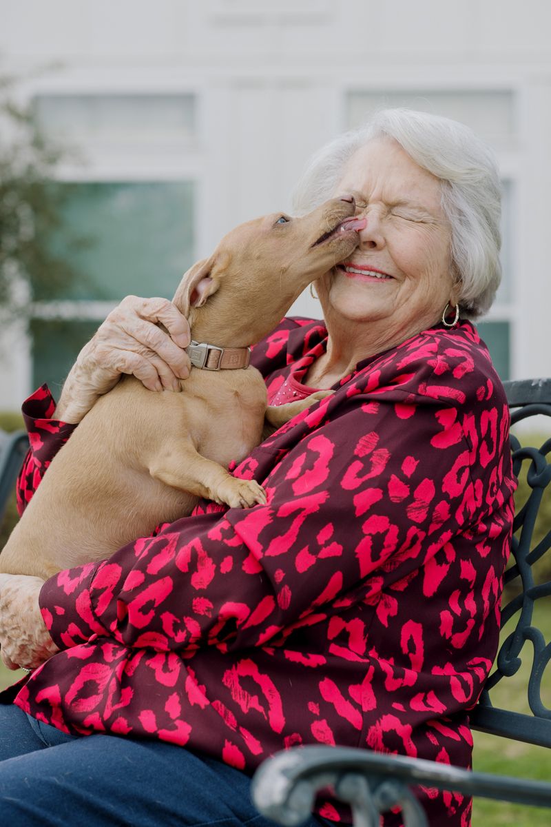 A happy senior woman laughs as a small dog licks her face on an outdoor bench.