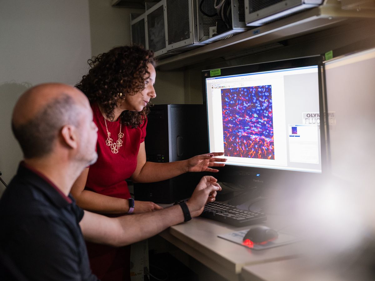 Two researchers analyze colorful microscopy imaging data on a large computer monitor.