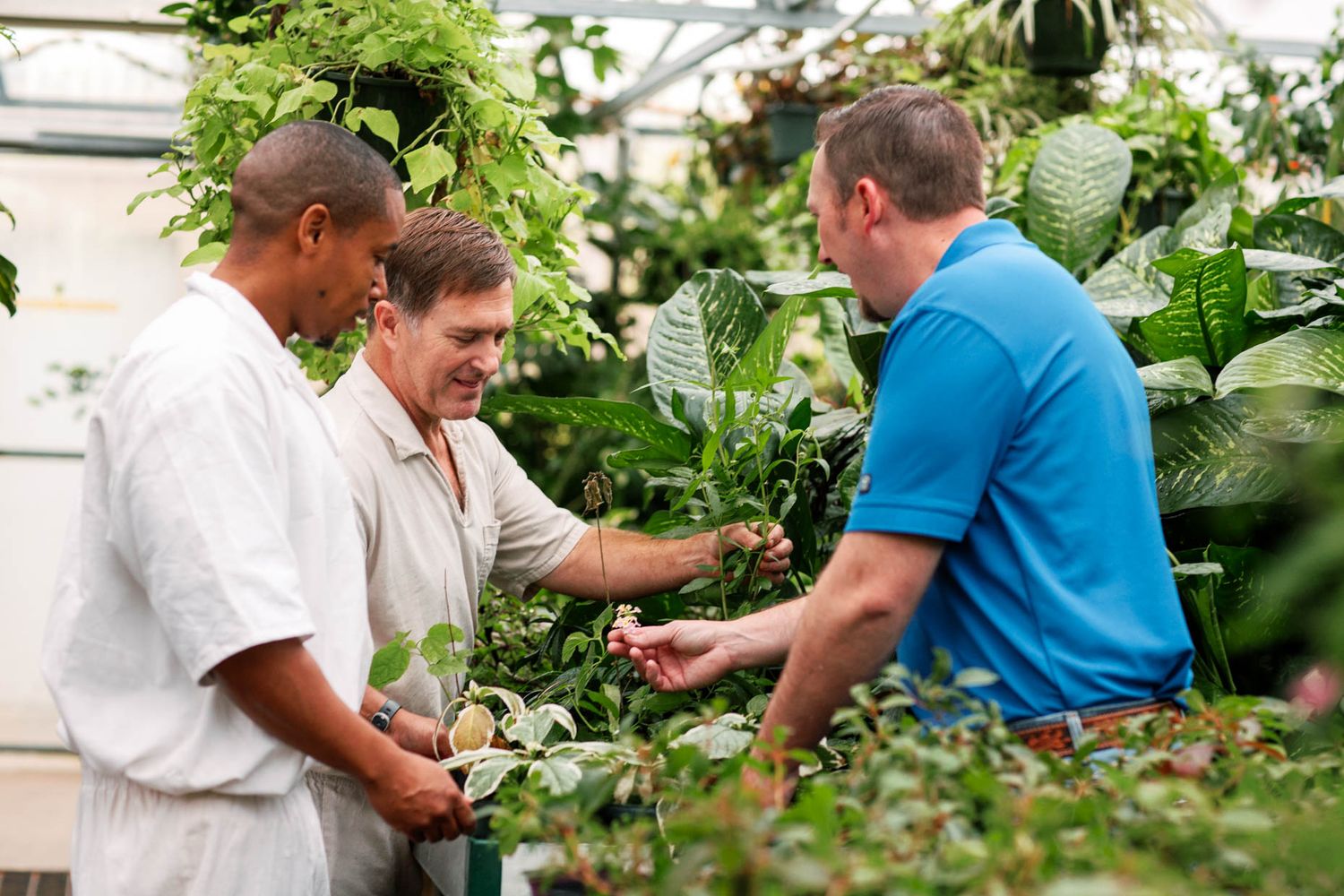 Three men examining tropical plants in a lush greenhouse garden center.