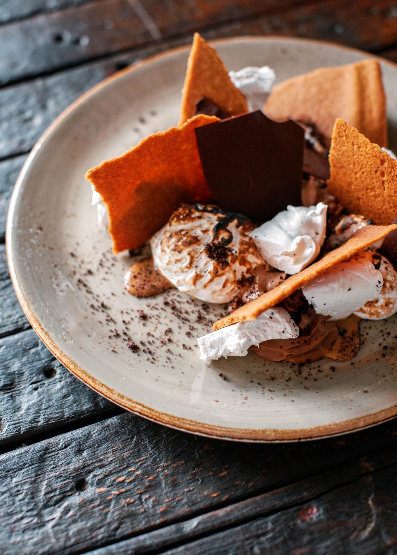 Elegant dessert plate with chocolate shards, whipped cream, meringue, and cocoa dusting on rustic wooden table.