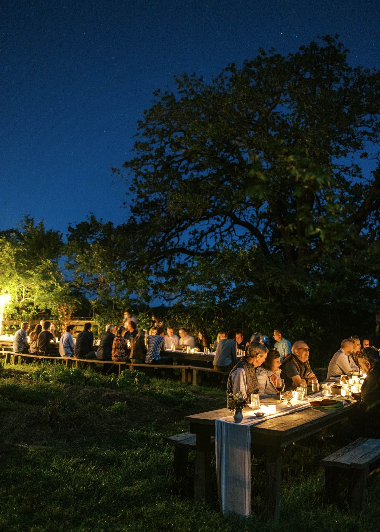 Guests dining at long wooden tables outdoors under a starry night sky, illuminated by candlelight near a large tree.