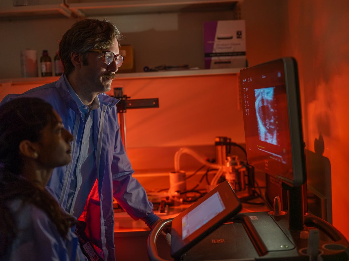 Scientists analyzing medical imaging data on a computer screen in a red-lit laboratory environment.