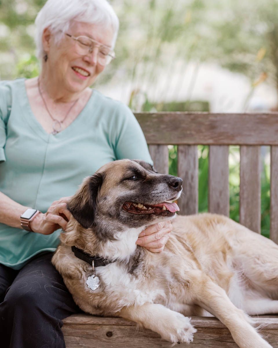 Happy senior woman petting her large dog on a wooden bench in a lush garden setting.