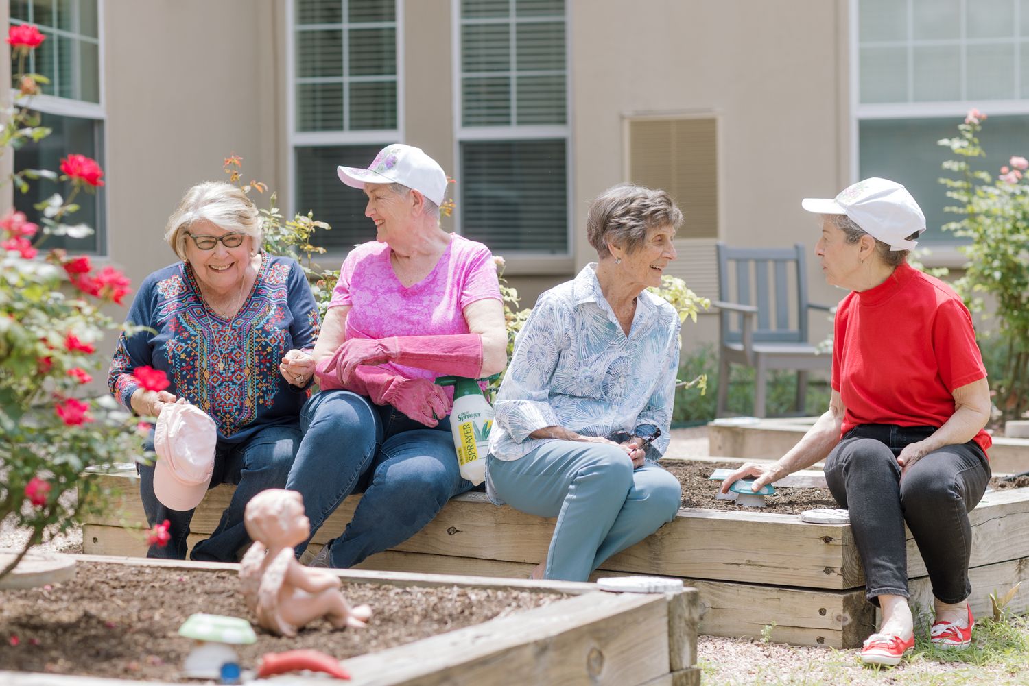 Four senior women sit outdoors on raised garden beds, enjoying gardening together near blooming roses.