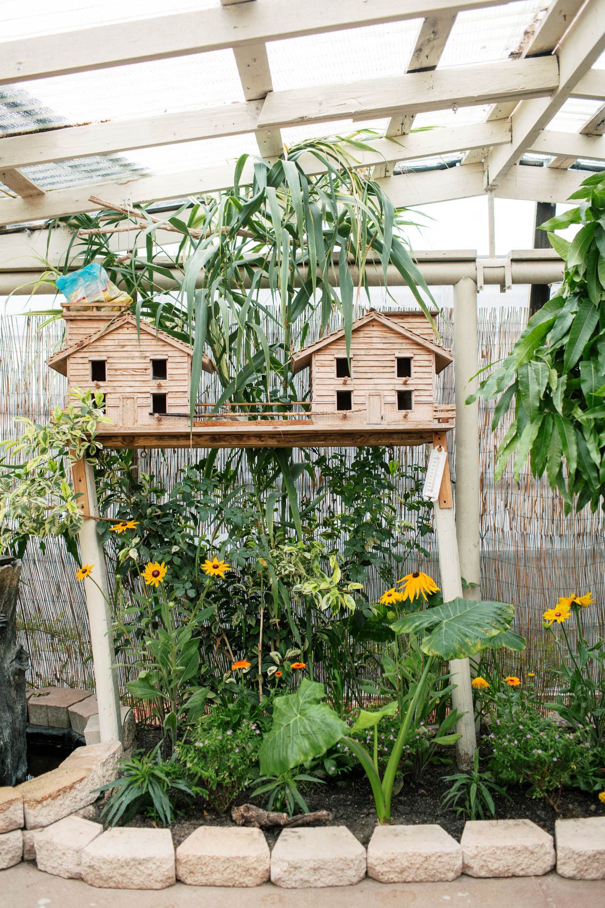 Wooden birdhouse with multiple compartments mounted on a post inside a greenhouse surrounded by yellow flowers and lush green plants.