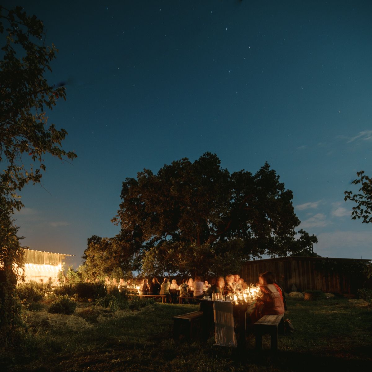 Outdoor candlelit dinner under a starry night sky beside a large tree.
