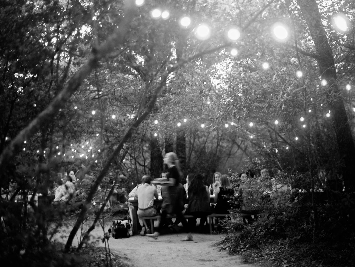 Crowd gathered under string lights in a wooded outdoor venue during an evening garden event.