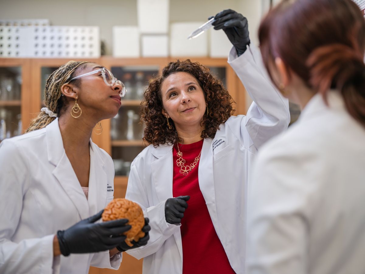 A professor in a red dress instructs two students using a brain model in a science lab.