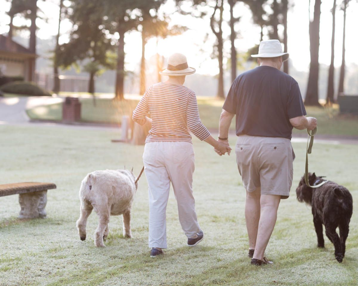 Elderly couple holding hands while walking two dogs on a sunny green lawn at a retirement community.