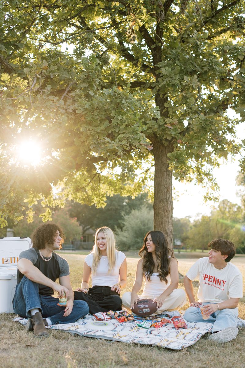 Four friends enjoy a sunny picnic on a blanket under a large tree in a park during golden hour.