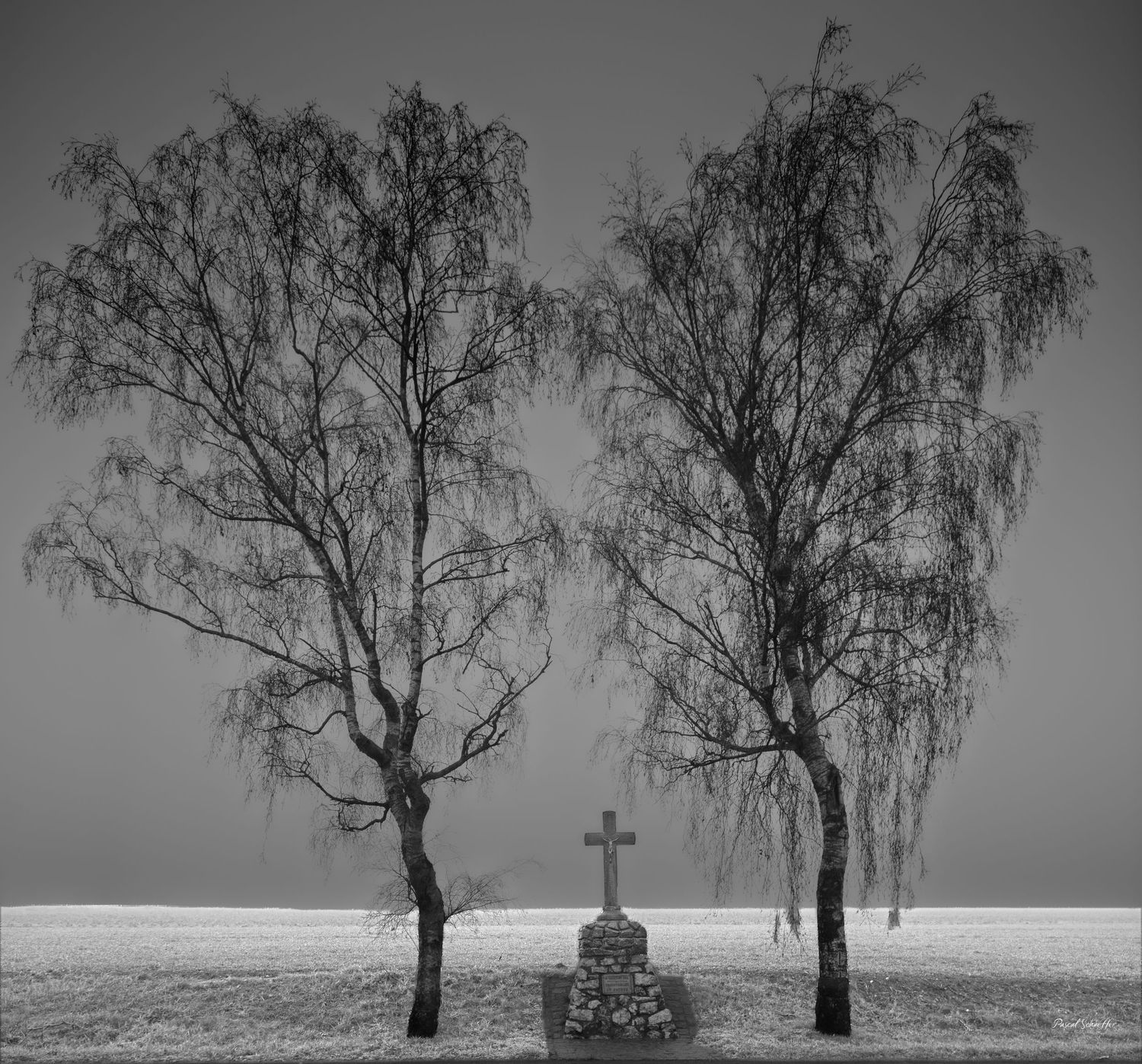 Black and white infrared photograph of two solitary trees framing a stone cross in a quiet winter landscape.