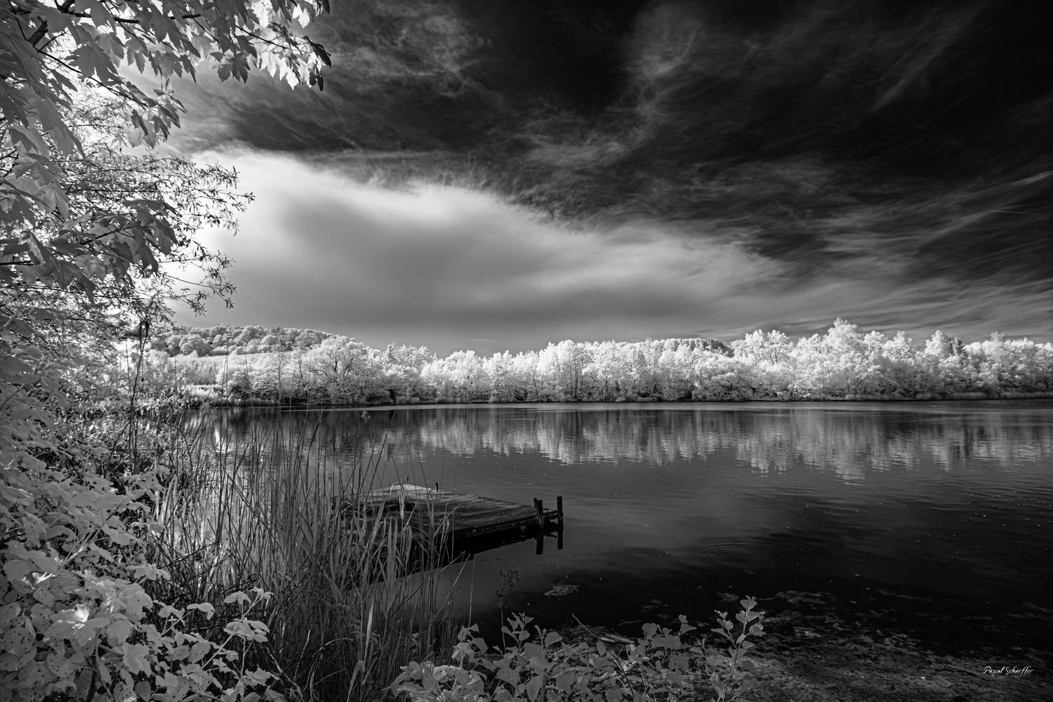 Black and white infrared landscape of a quiet dock surrounded by luminous trees and reflected in calm water.