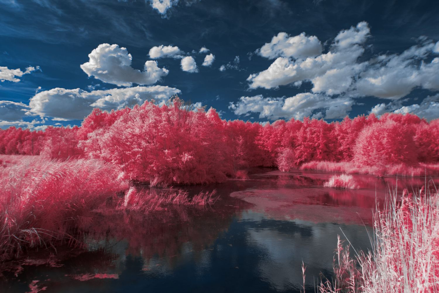 False-color infrared landscape with vivid crimson foliage, dark water and brilliant blue skies.
