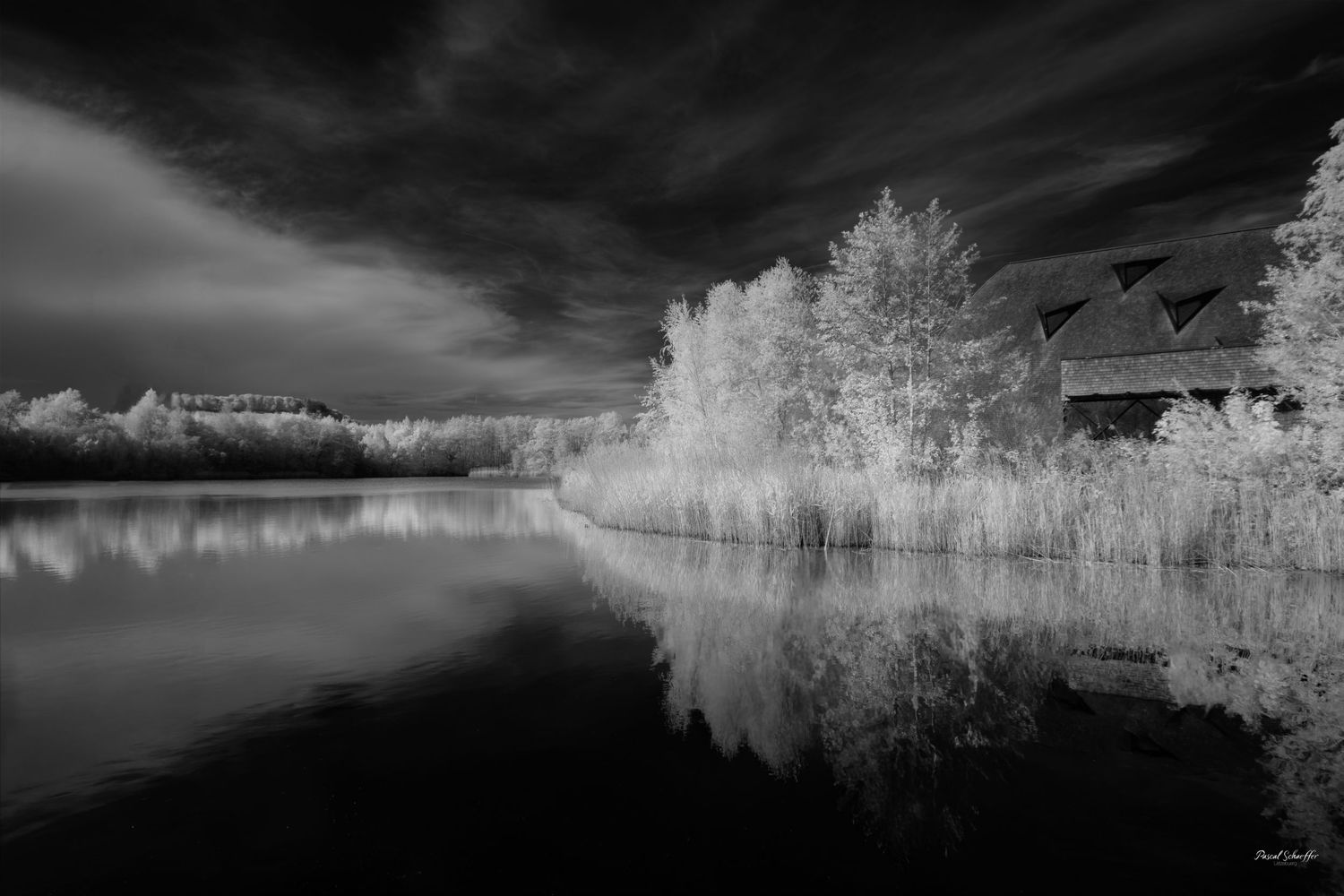 Black and white infrared landscape with bright trees reflected in still water beneath a dark and dramatic sky.