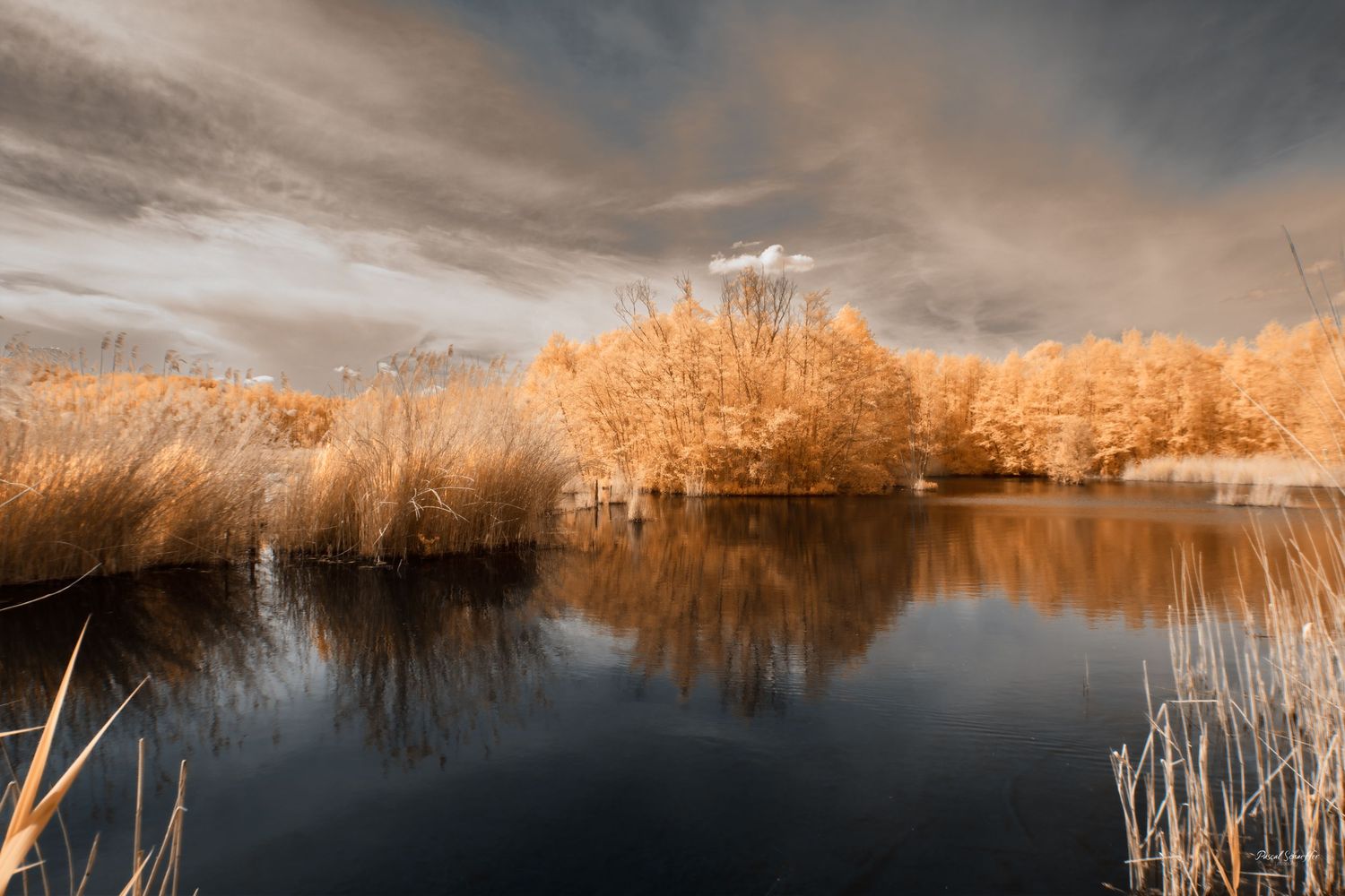 False-color infrared landscape with glowing amber vegetation reflected in the dark, still waters of a peaceful lake.