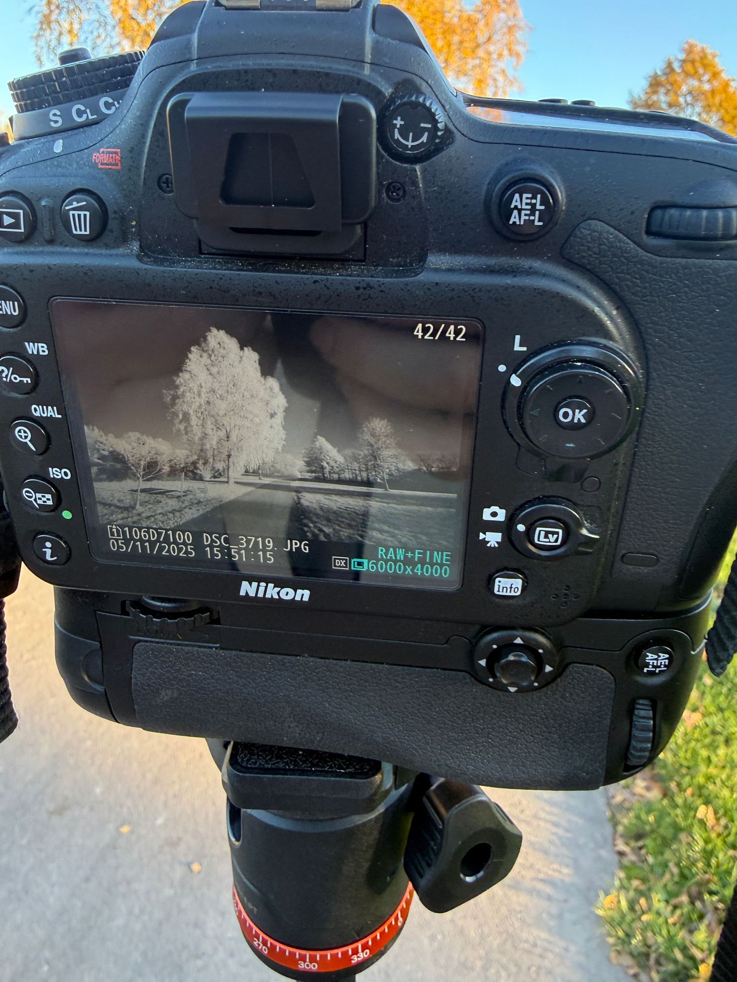 Full Spectrum Nikon camera displaying a black and white infrared photograph during an outdoor photo session