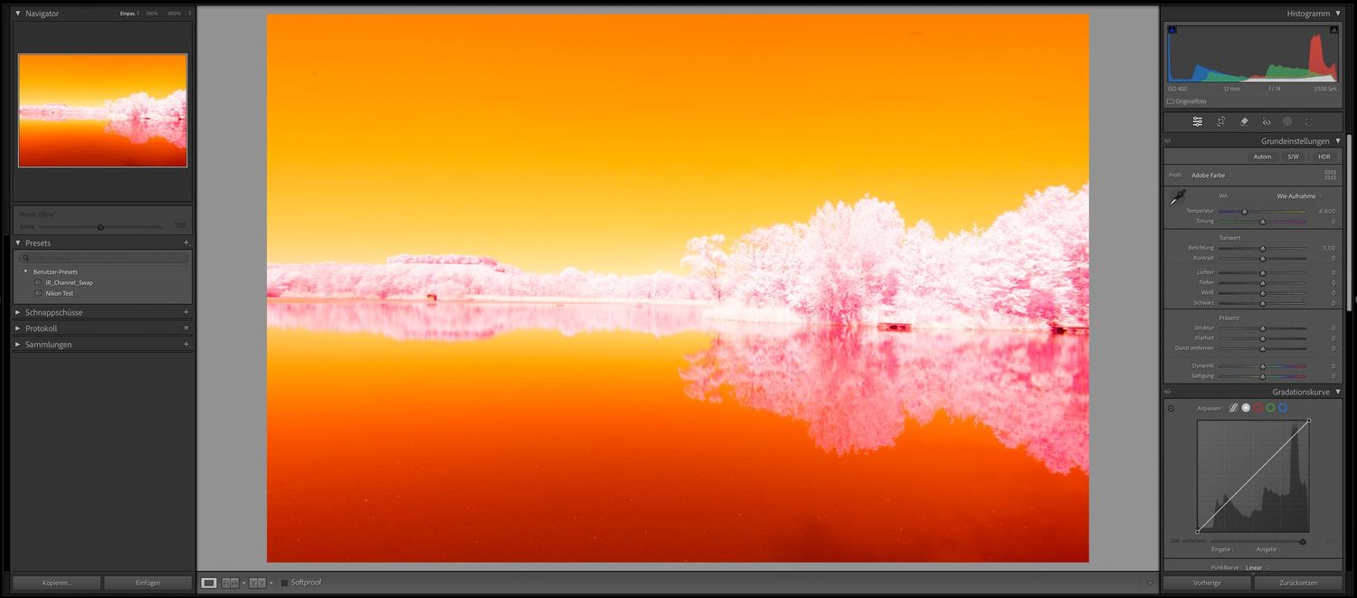 Original false-color infrared RAW photograph showing a lake and trees in intense orange, red and pink tones before the final infrared