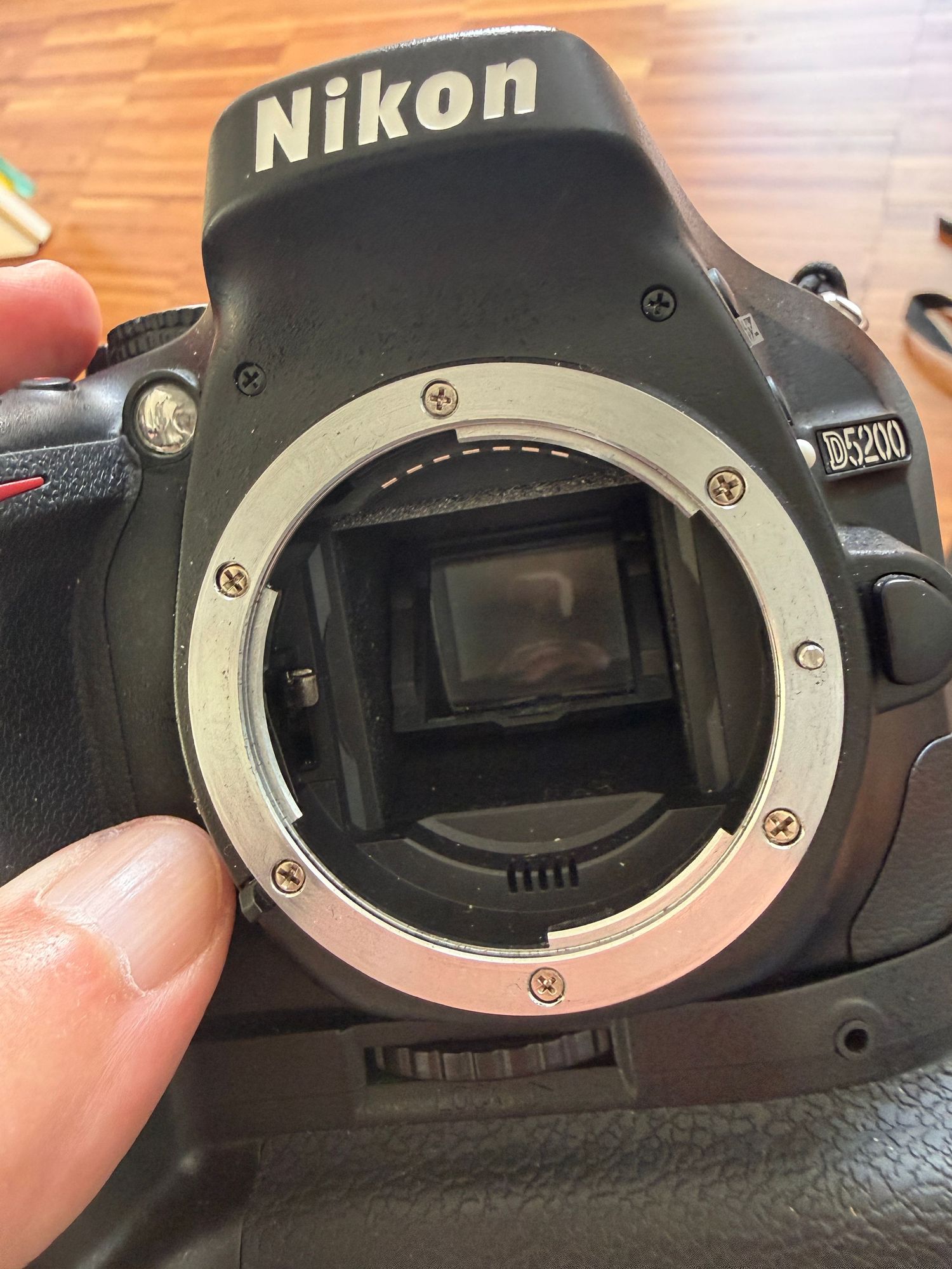 Nikon DSLR converted to Full Spectrum for color and black and white infrared photography