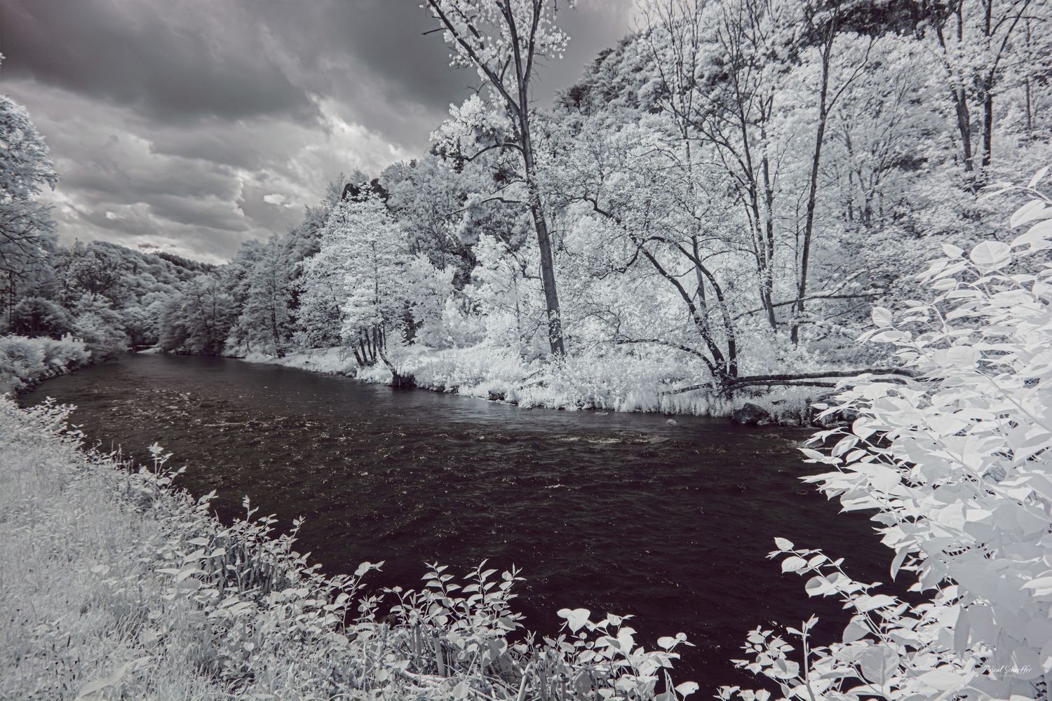 Black and white infrared landscape of a winding river framed by luminous trees beneath a dramatic sky.