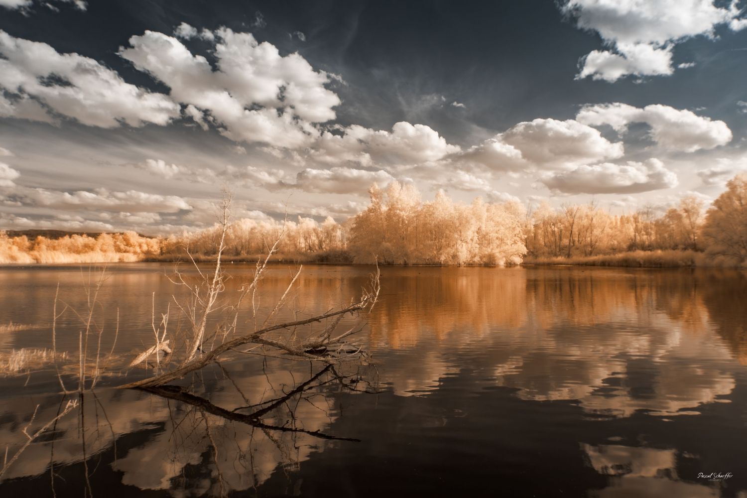 False-color infrared landscape with amber trees reflected in still water beneath a dramatic cloud-filled sky.