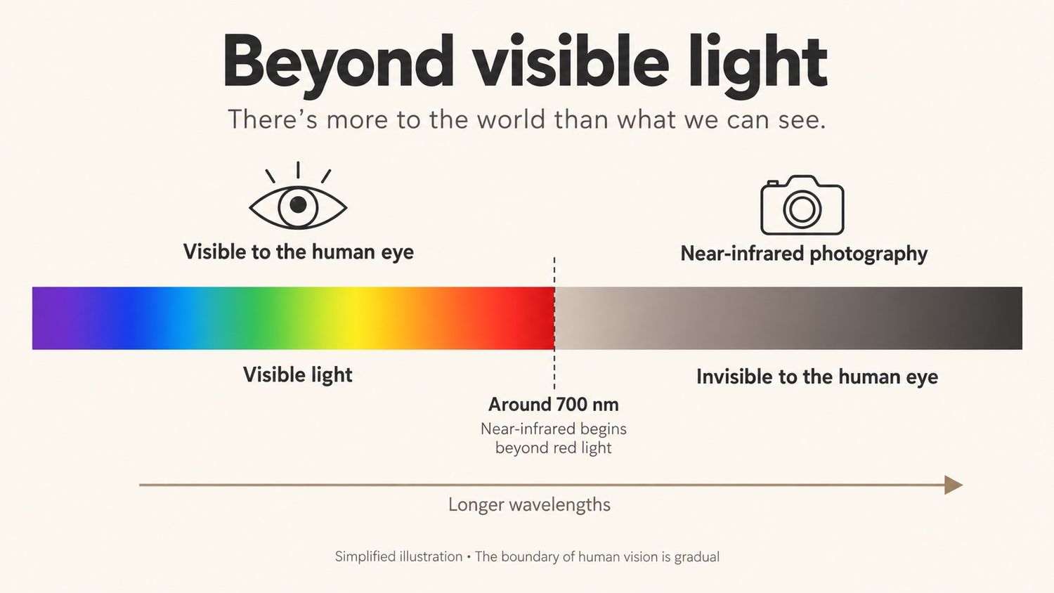 Diagram showing visible light and the near-infrared spectrum used in infrared photography.