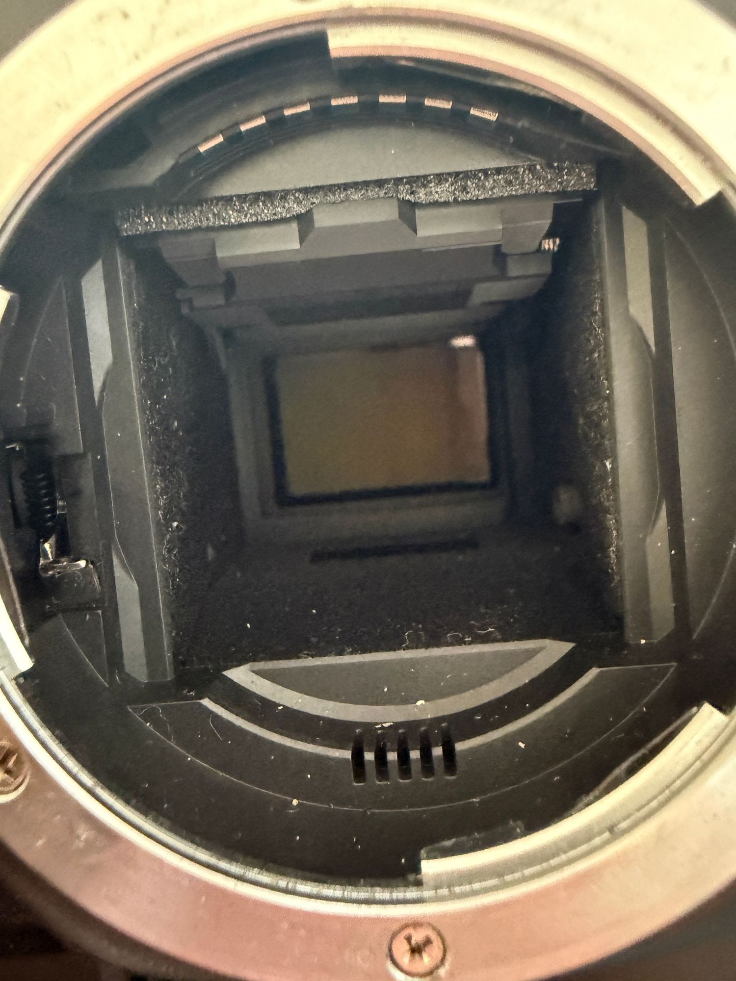 Close-up of the sensor inside a Nikon DSLR prepared for Full Spectrum infrared photography.