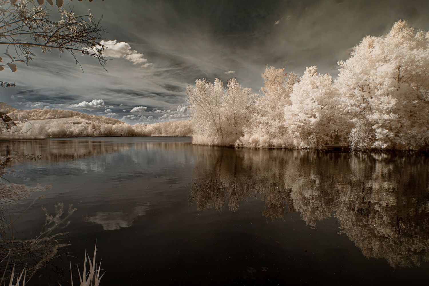 Infrared landscape with luminous ivory trees reflected in calm water beneath a dramatic sky.
