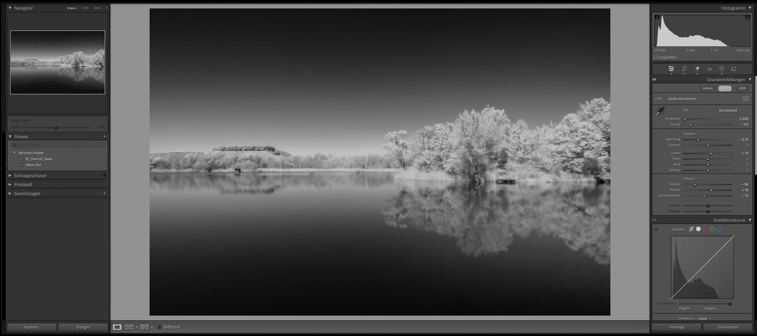 B/W infrared photograph showing a calm lake surrounded by luminous trees reflected in the water processed by Pascal Schaeffer