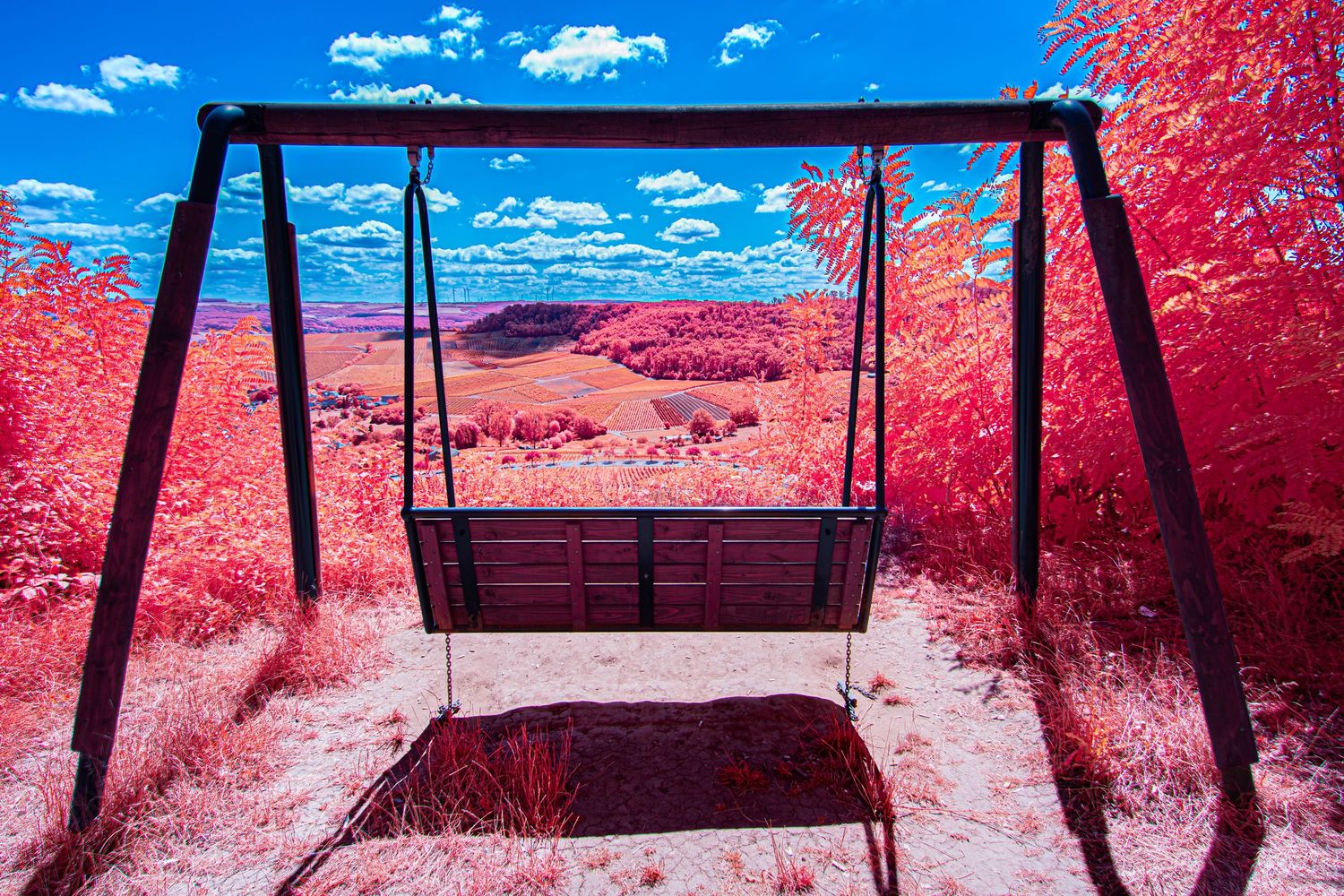False-color infrared photograph of a swing surrounded by vivid crimson foliage beneath an intense blue sky.