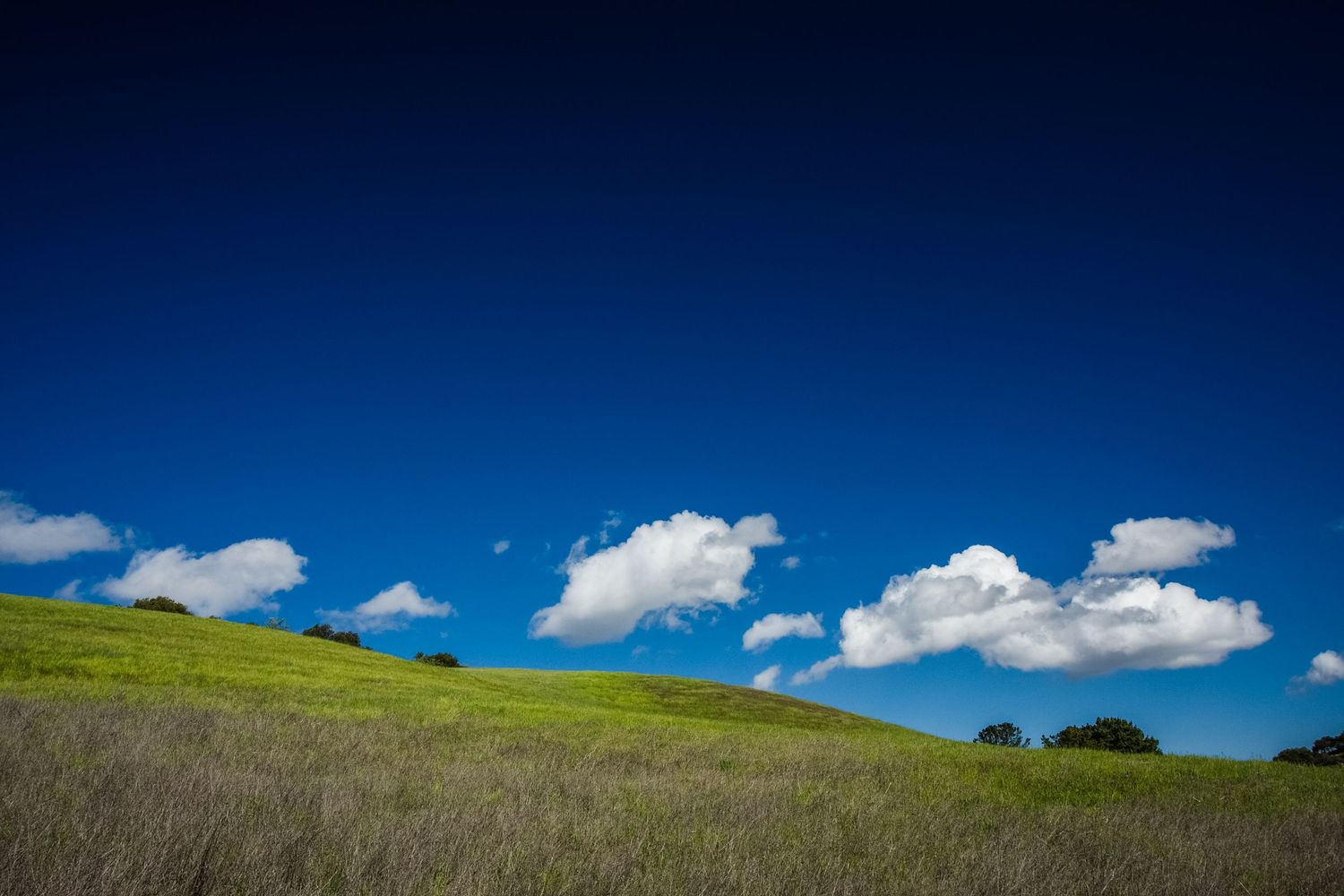 Rolling green hills beneath dramatic blue skies and drifting white clouds in Palo Alto, California.