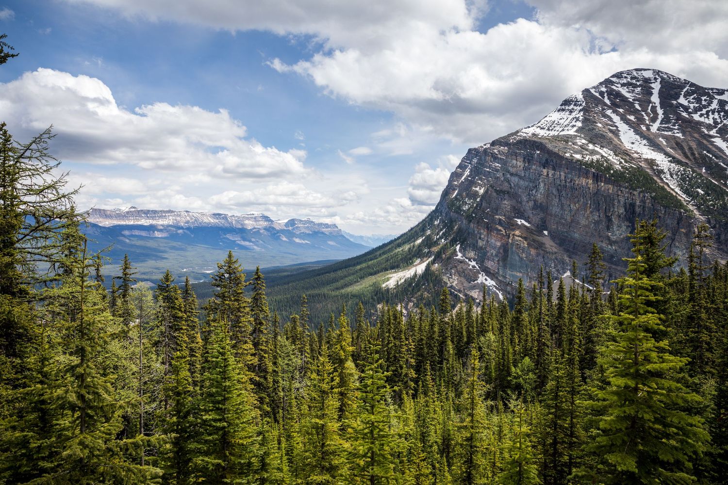 Elephant Mountain rises above evergreen forest in Banff National Park, Canada, beneath dramatic clouds and the Canadian Rockies.