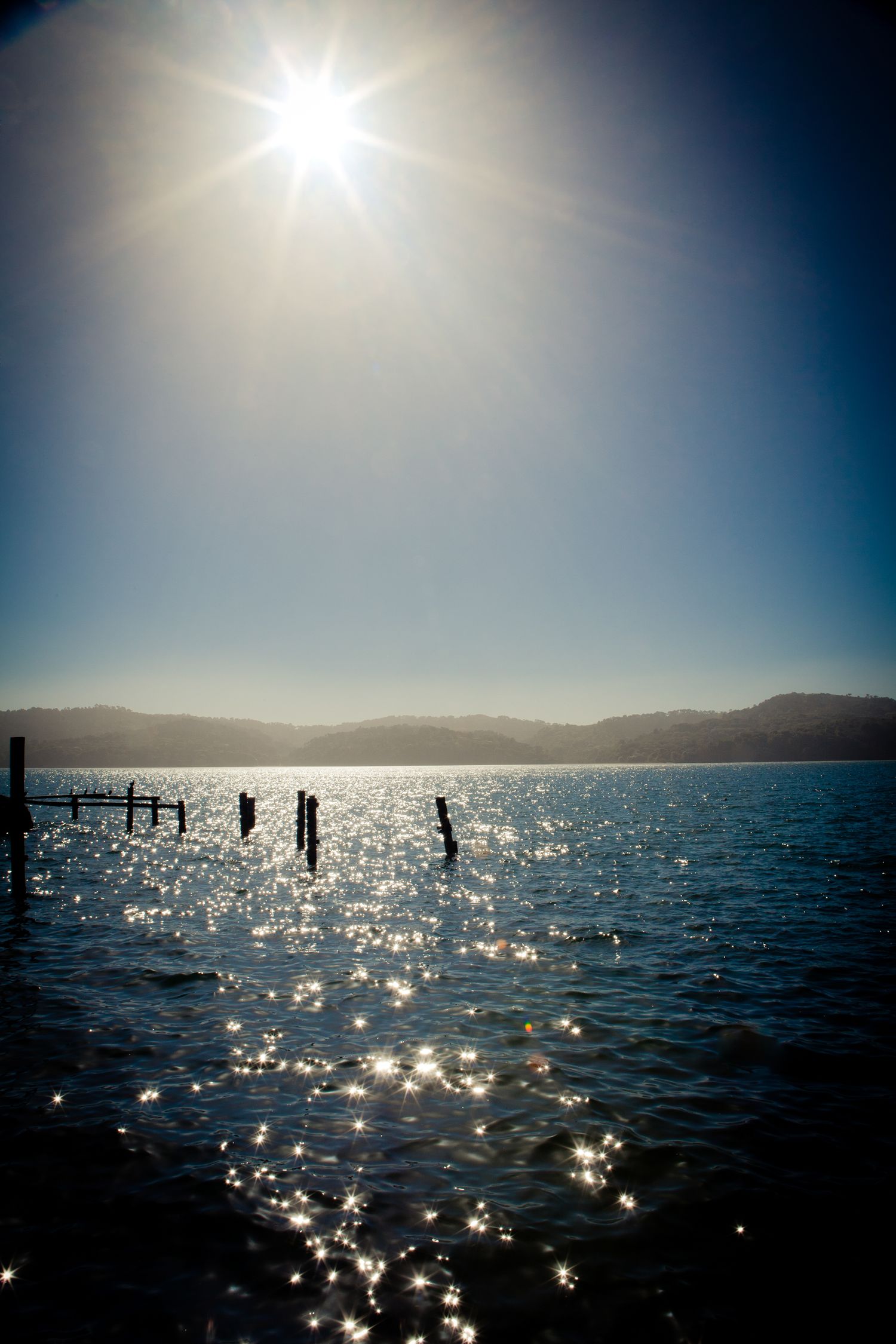 Sunlight sparkles across Tomales Bay, California, illuminating weathered pier pilings beneath a brilliant blue sky.