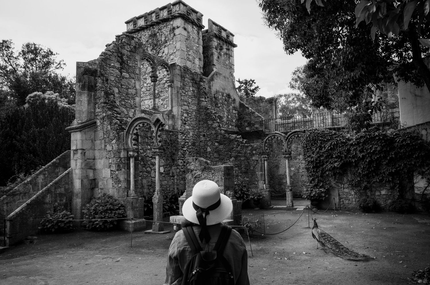 Woman in white hat admires ancient ruins in Évora, Portugal, as a peacock crosses the courtyard in this black-and-white Hat Series image.
